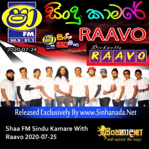 Cover Art – 12.OLD HIT MIX SONGS NONSTOP - Sinhanada.net - RAAVO.mp3