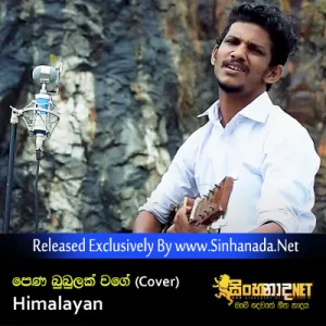 Cover Art – Pena Bubulak Wage (Cover) - Himalayan.mp3