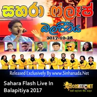 Cover Art – 29 - AYE AYE - Sinhanada.net - Ruwan Srilal.mp3