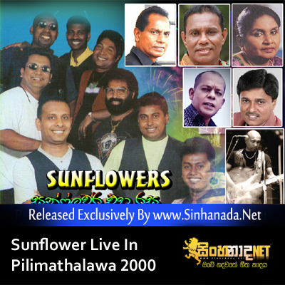 03.A Cup Of Life - Sinhanada.net - SunFlower.mp3