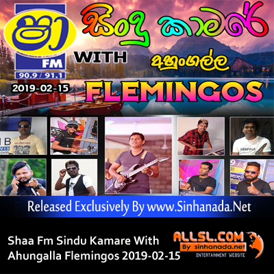 04.NAMAL UDUGAMA SONGS NONSTOP - Sinhanada.net - AHUNGALLA FLEMINGOS.mp3
