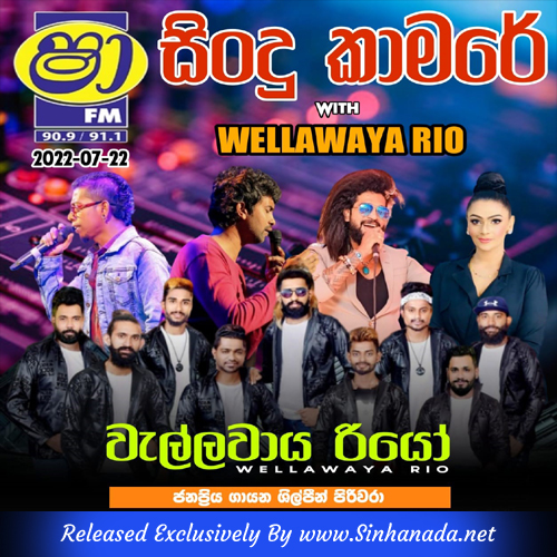 37.DAMITH & WERALIYADDA SONGS NONSTOP - Sinhanada.net - WELLAWAYA RIO.mp3