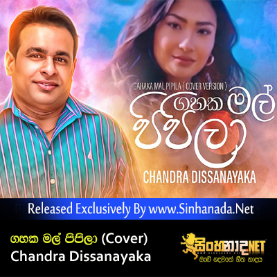 Gahaka Mal Pipila (Cover) - Chandra Dissanayaka.mp3