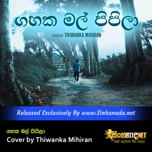Gahaka Mal Pipila Cover by Thiwanka Mihiran.mp3