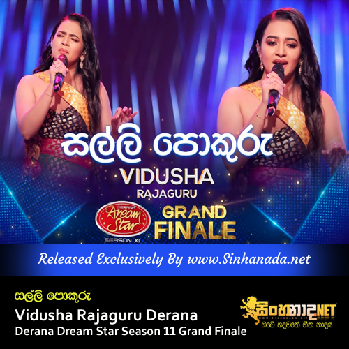 Salli Pokuru - Vidusha Rajaguru Derana Dream Star Season 11 Grand Finale.mp3