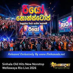 Sinhala Old Hits New Nonstop - Wellawaya Rio Live 2026.mp3