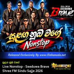 Sulaga Nuba wage සුළඟ නුඹ වගේ Live Nonstop - Seeduwa Brave Shree FM Sindu Sajje 2026.mp3