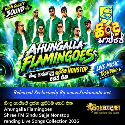 Ahungalla Flamingoes Shree FM Sindu Sajje Nonstop සිංදු සාජ්ජේ දීපු සුපිරිම සෙට් එක - Trending Live Songs Collection 2026.mp3