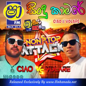 07.TAMIL SONGS NONSTOP - VOLARE.mp3