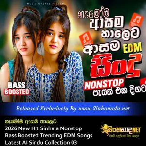2026 New Hit Sinhala Nonstop හැමෝම ආසම තාලෙට - Bass Boosted Trending EDM Songs Latest AI Sindu Collection 03.mp3