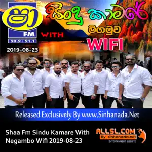 32.NEW SONGS NONSTOP - Sinhanada.net - WIFI.mp3