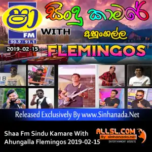 21.OLD HIT MIX SONGS NONSTOP - Sinhanada.net - AHUNGALLA FLEMINGOS.mp3